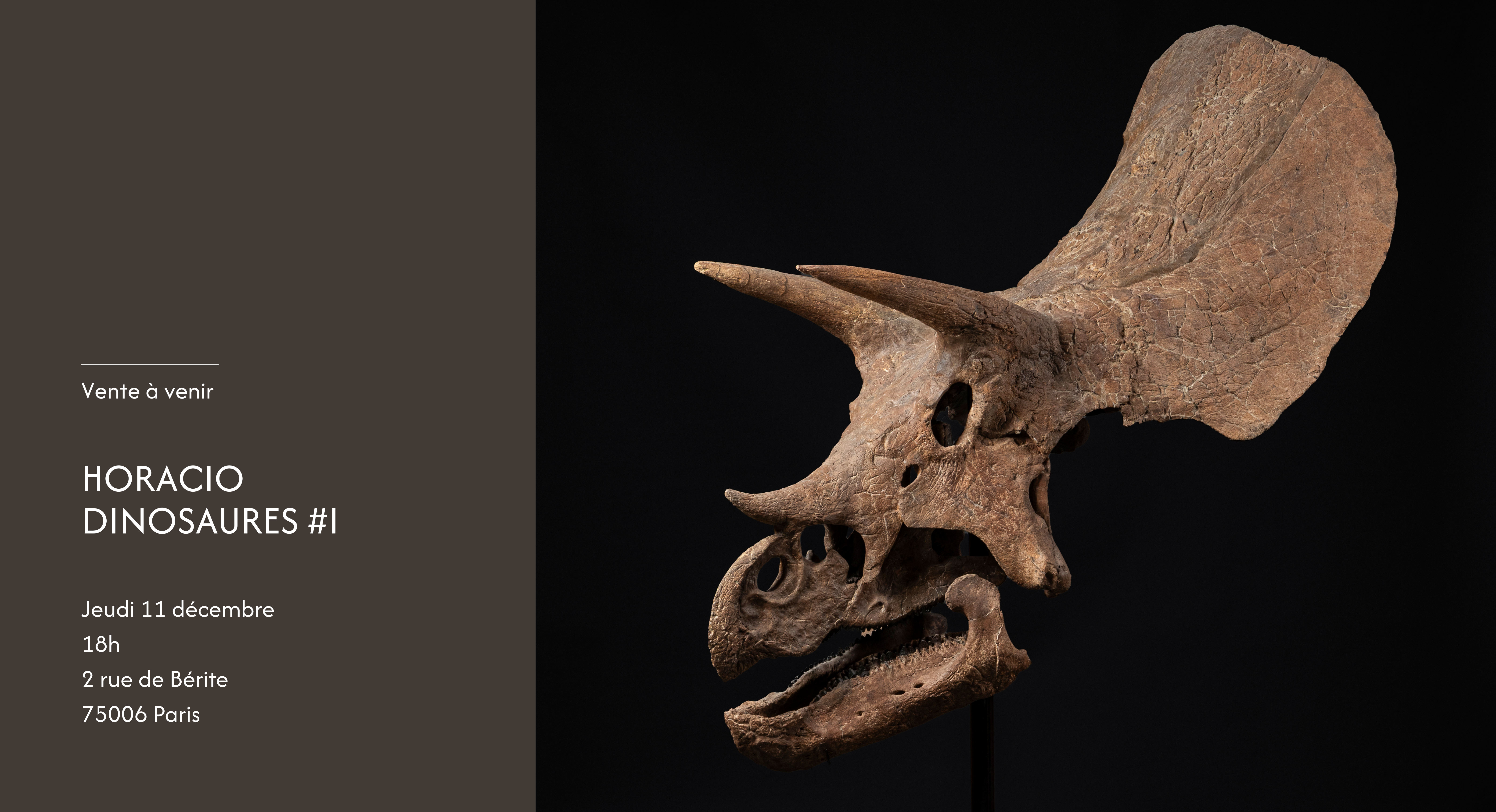 Horacio - Tricératops prorsus