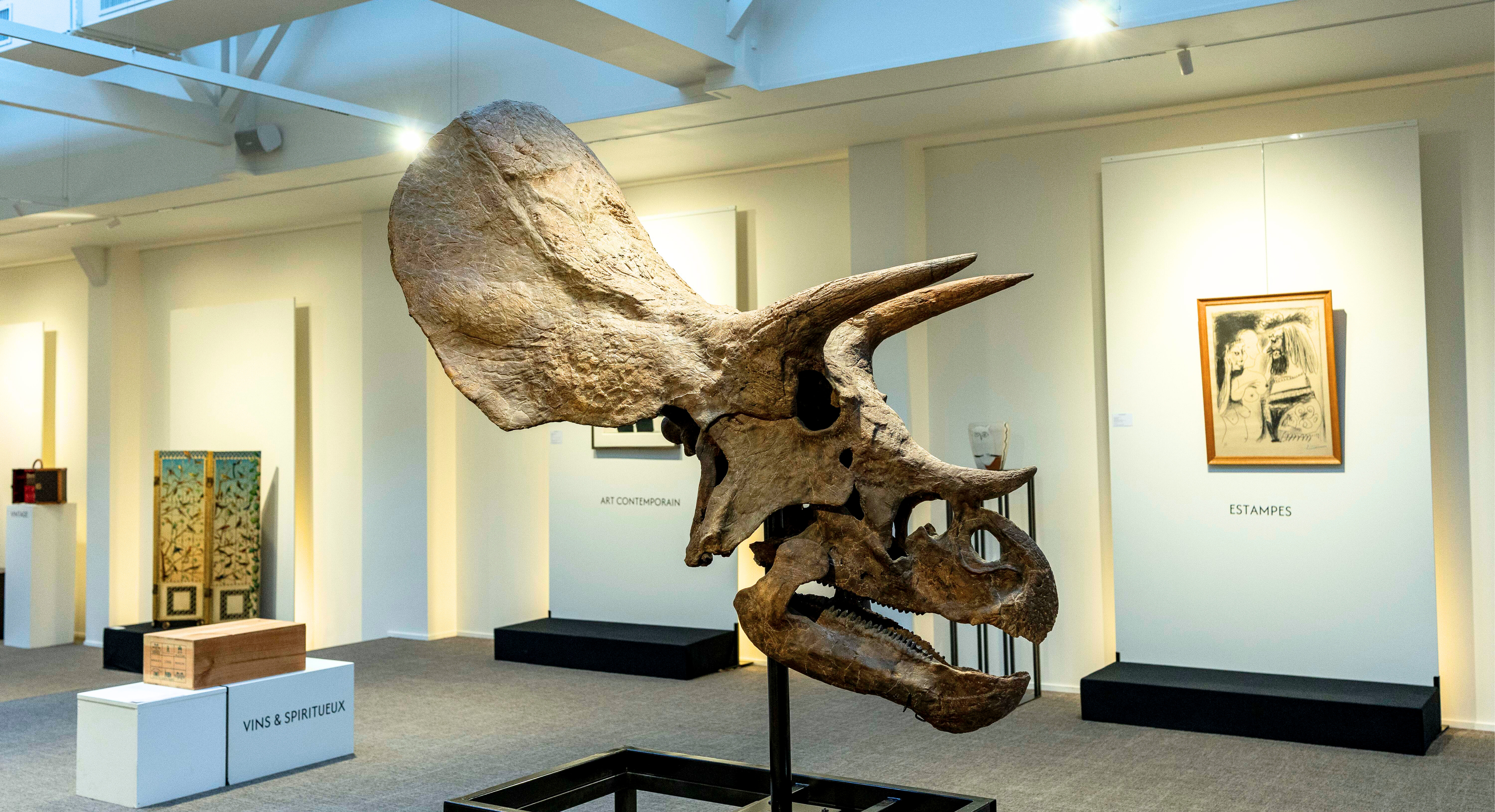 Soirée d'inauguration