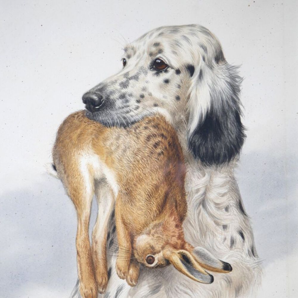 Chasse