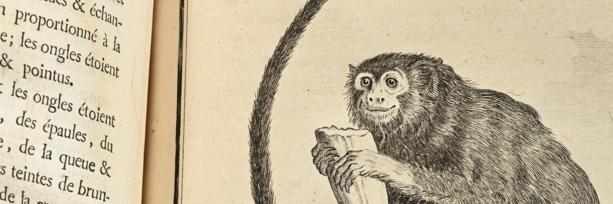 LIVRES ANCIENS ET MODERNES 