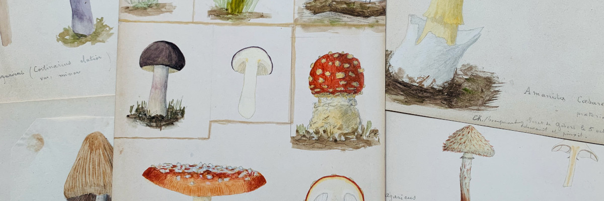 MANUSCRITS ET AUTOGRAPHES 