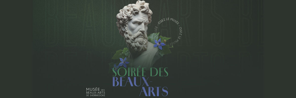 MUSÉE DES BEAUX ARTS DE SHERBROOKE